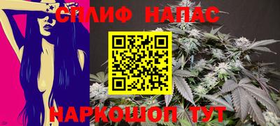 соль ск Можга