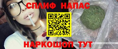 гидра Моздок