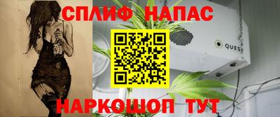 гидра Моздок
