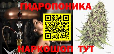 гидра Моздок