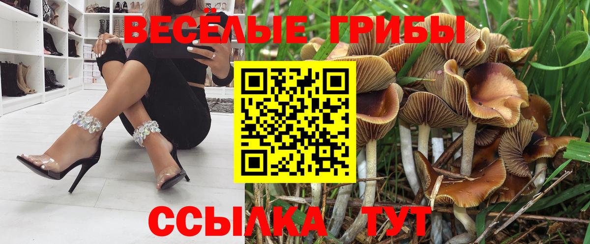 Псилоцибиновые грибы мухоморы Югорск